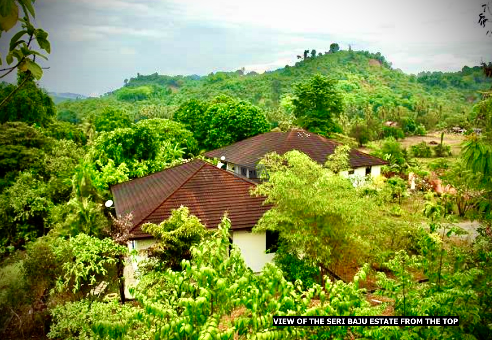 Estate in Langkawi (1.703-acre Agriculture Freehold Land).